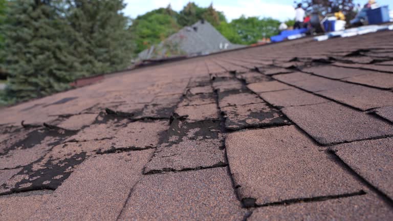 Best Skylight Installation and Repair  in Nice, CA