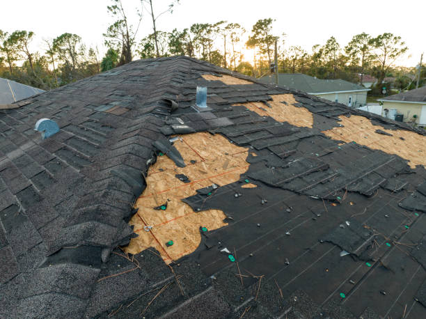 Best Roof Ventilation Installation  in Nice, CA